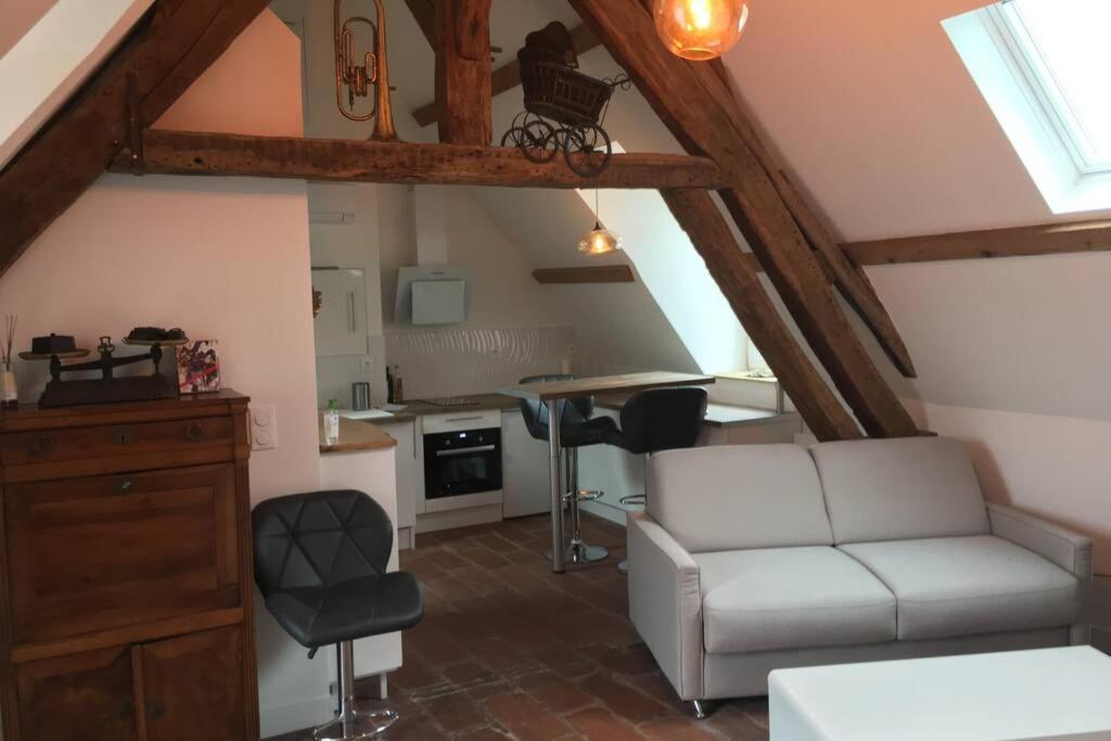 Apartamento La Terrasse Du Chevalier D'Eon - Loft A Tonnerre Exterior foto
